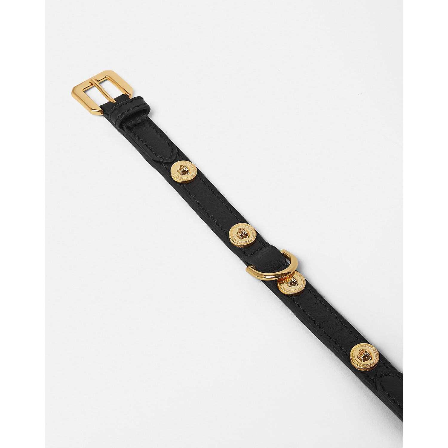 Versace Icon Small Pet Collar - Pet Supplies online store