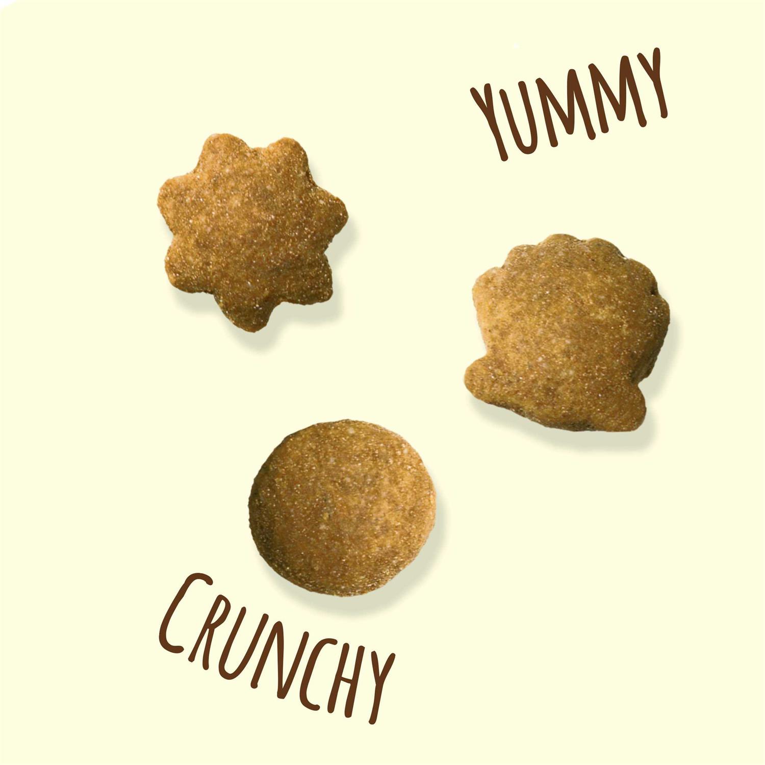 Friskies Party Mix Natural Yums With Real Tuna Cat Treats - Pet Supplies online store