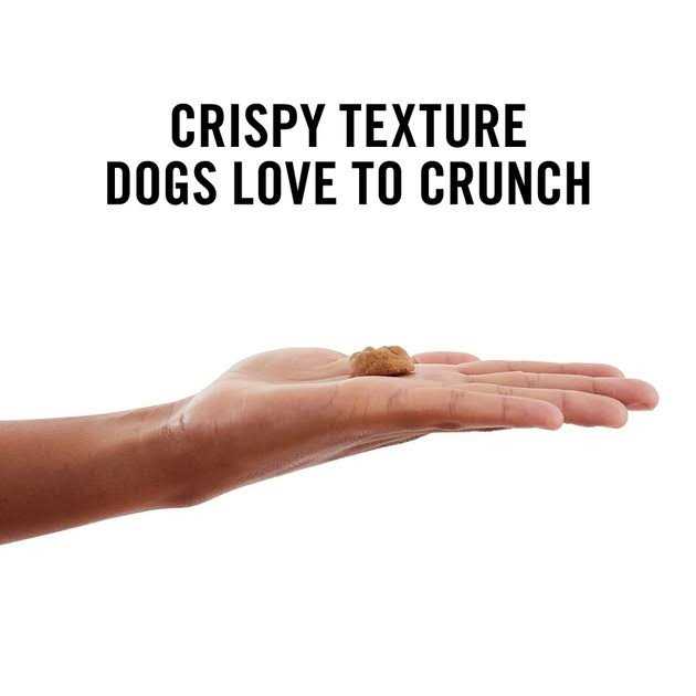 American Journey Peanut Butter Recipe Grain-Free Oven Baked Crunchy Biscuit Dog Treats - Pet Supplies online store