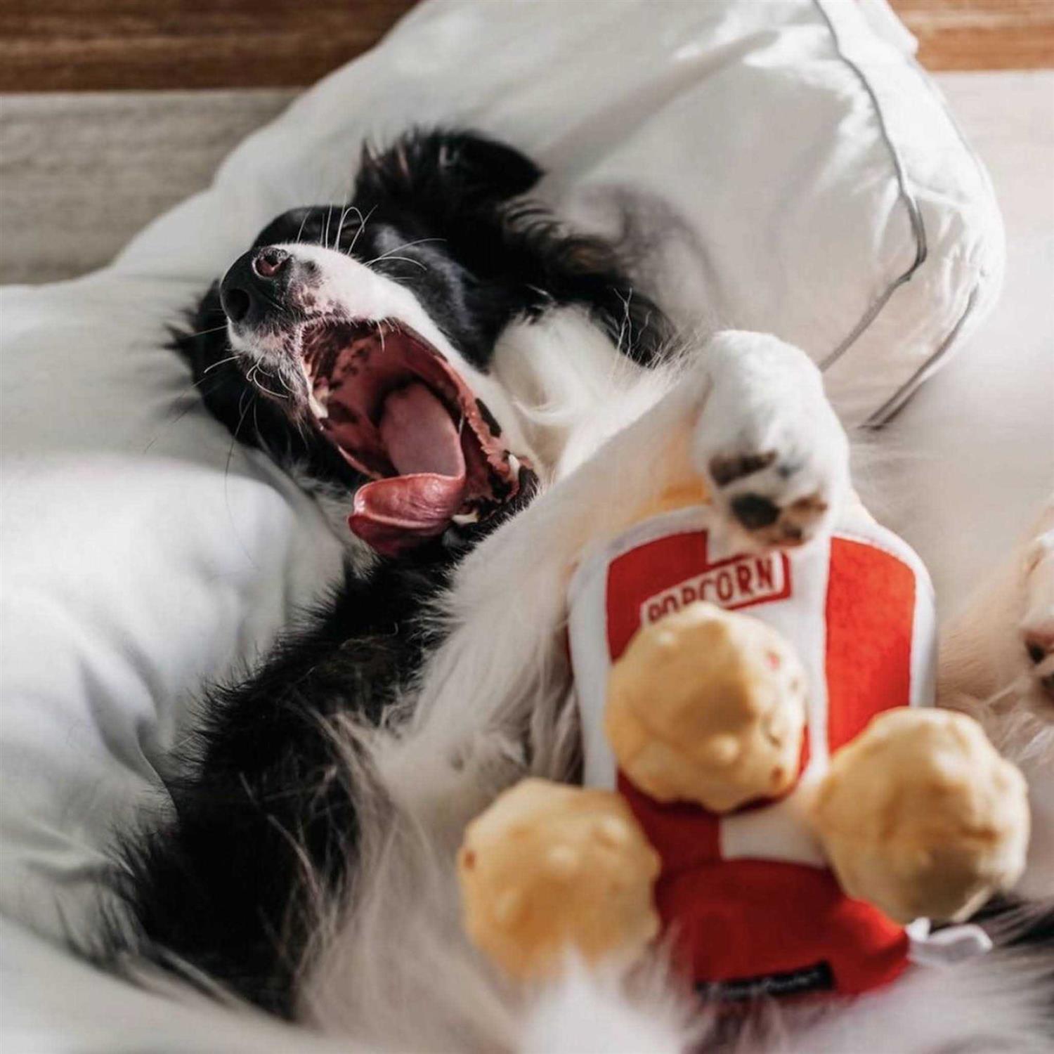 ZippyPaws Zippy Burrow Popcorn Bucket Dog Toy - Pet Supplies online store