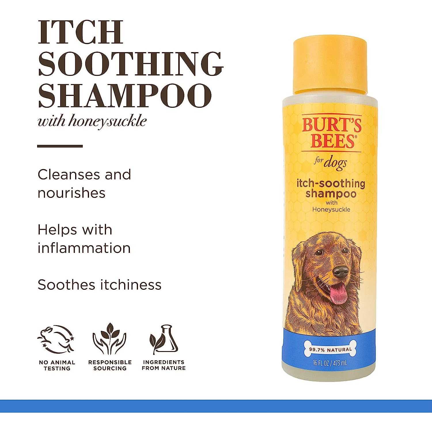Burt's Bees for Dogs Shampoo - Pet Supplies online store