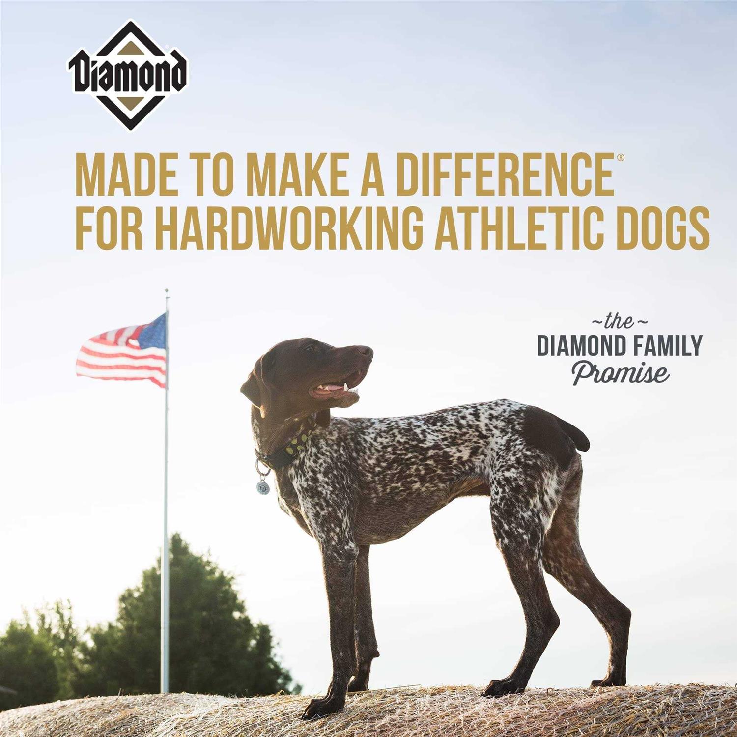 Diamond Performance Dry Dog Food - Pet Supplies online store