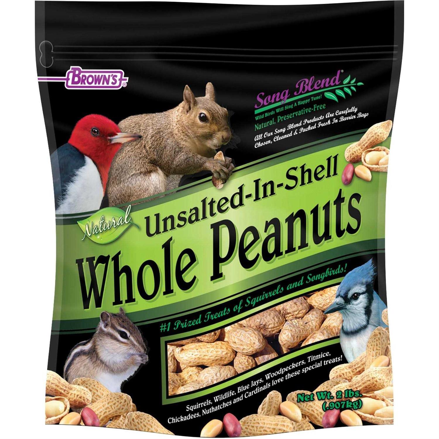 Song Blend Unsalted In-Shell Whole Peanuts Bird Food - Pet Supplies online store