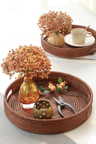 HITOMEN 11.8'' Hand-Woven Round Rattan Serving Tray Decorative Wicker Trays with Handles for Coffee Table (Natural-M)