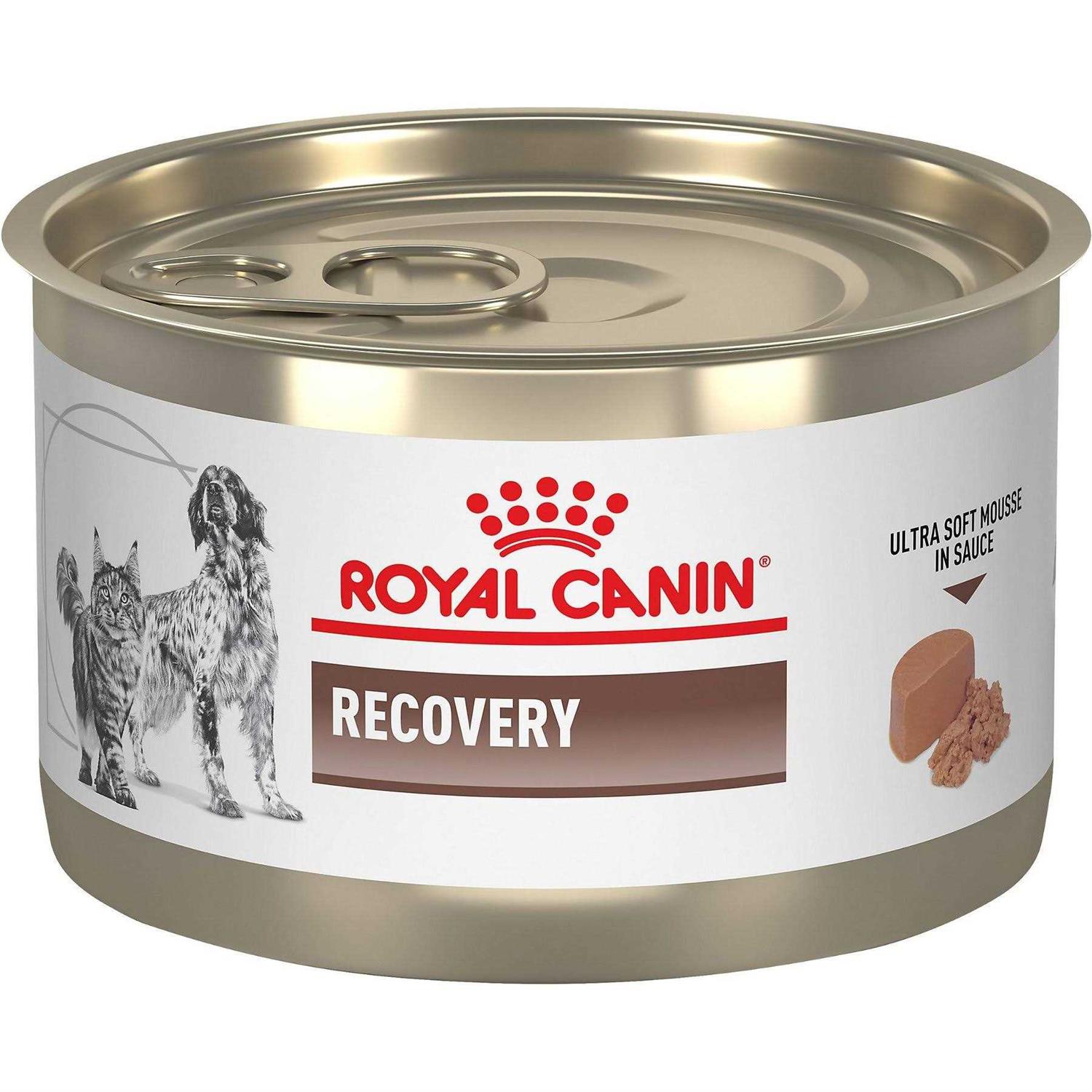 Royal Canin Veterinary Diet Recovery Ultra Soft Mousse in Sauce Wet Dog & Cat Food - Pet Supplies online store