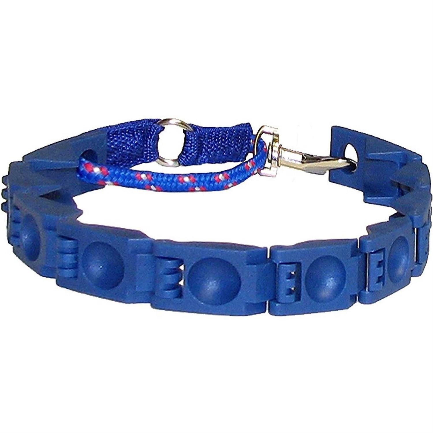 The Perfect Dog Command Training Dog Collar - Pet Supplies online store