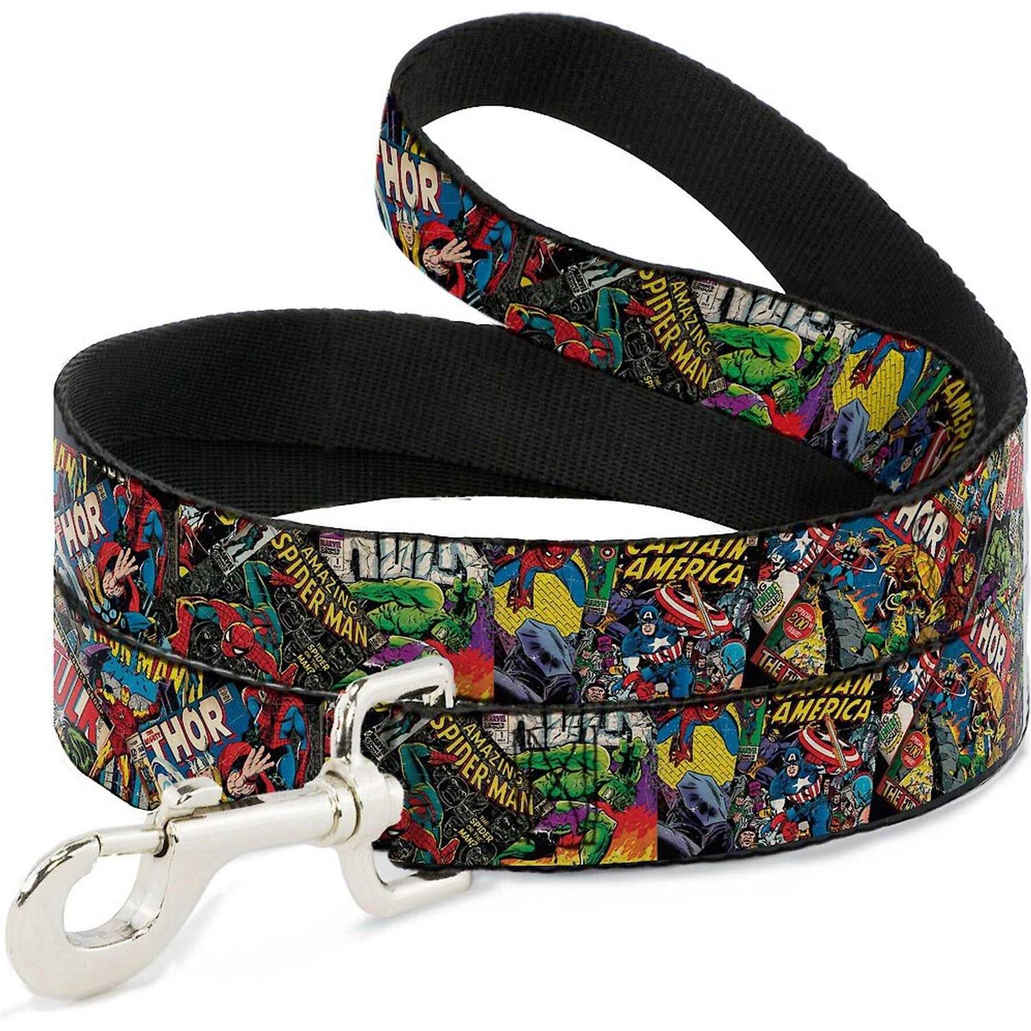 Buckle Down Dog Leash - Pet Supplies online store