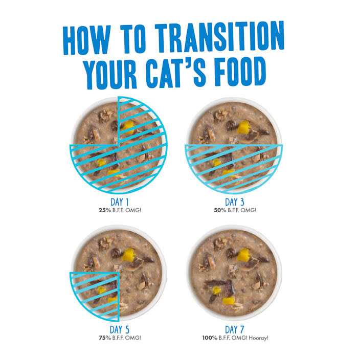 B.F.F. OMG It's Gravy Baby! Variety Pack Wet Cat Food - Pet Supplies online store