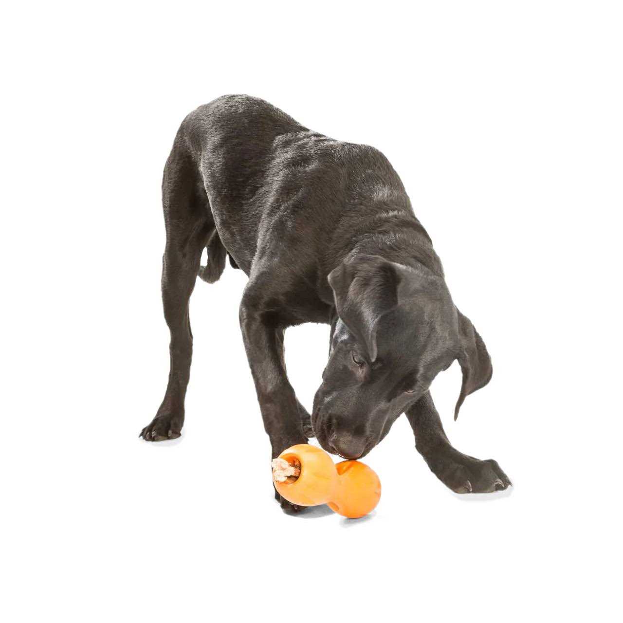 West Paw Qwizl Dog Toy - Pet Supplies online store