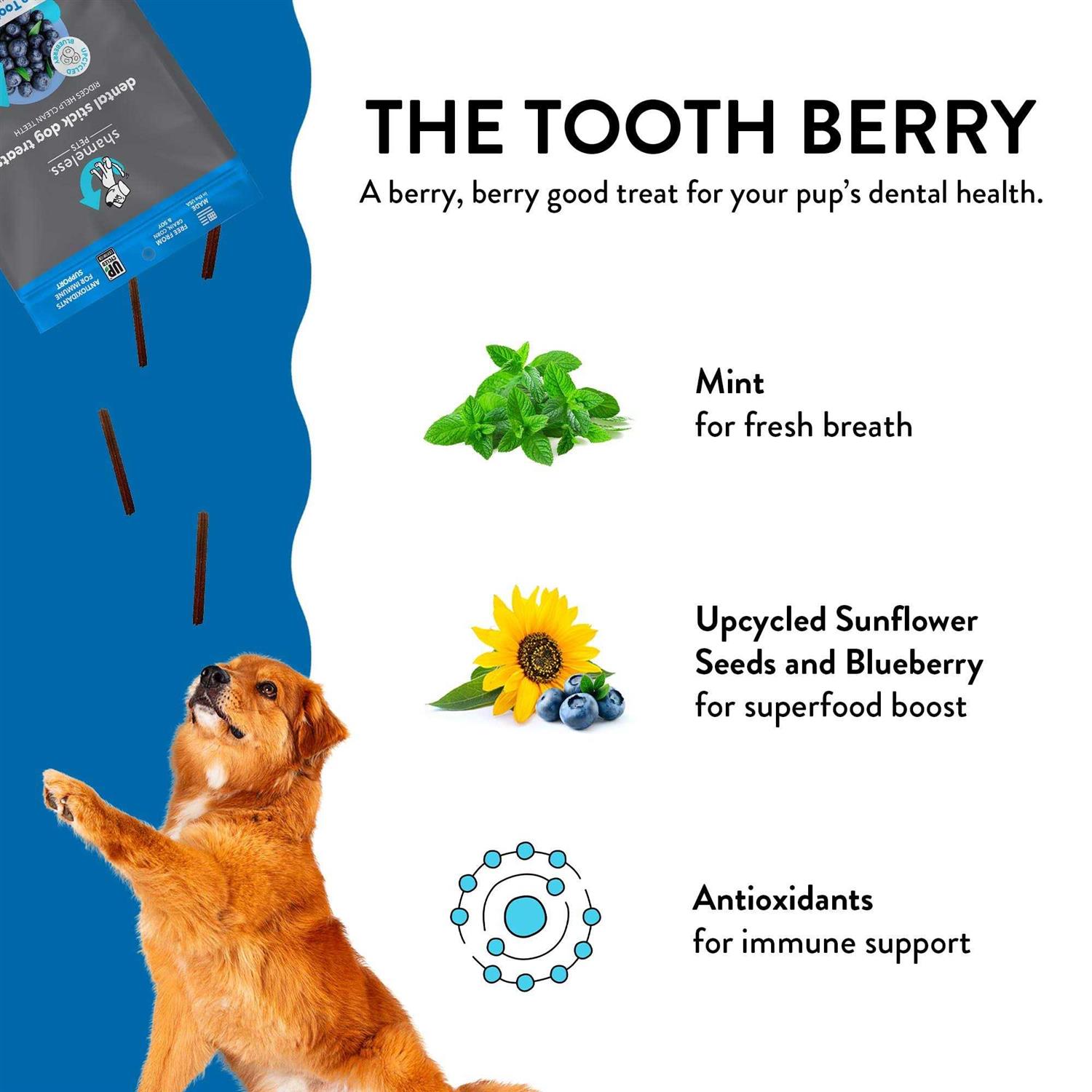 Shameless Pets Dental Stick Dog Treats The Tooth Berry - Pet Supplies online store