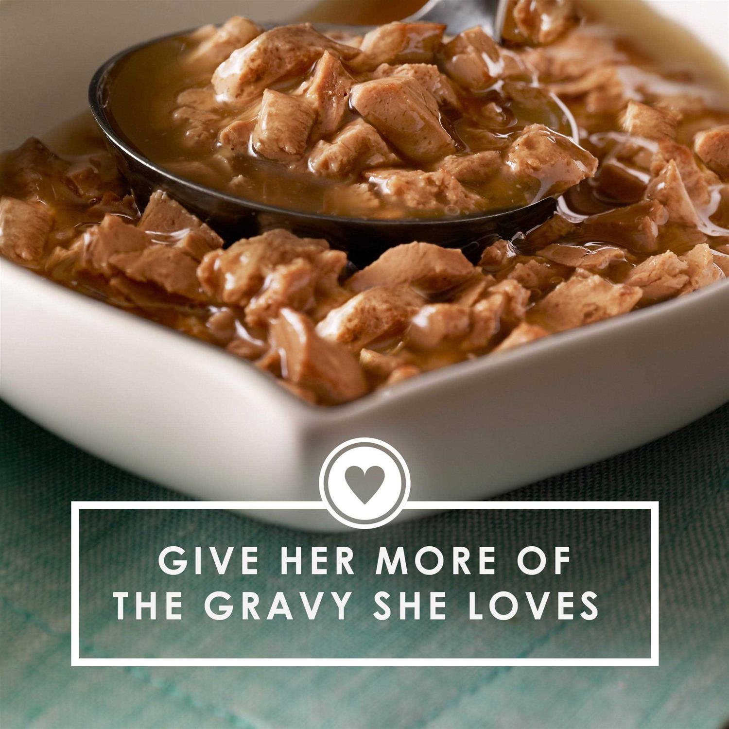 Purina Fancy Feast Gravy Lovers - Pet Supplies online store