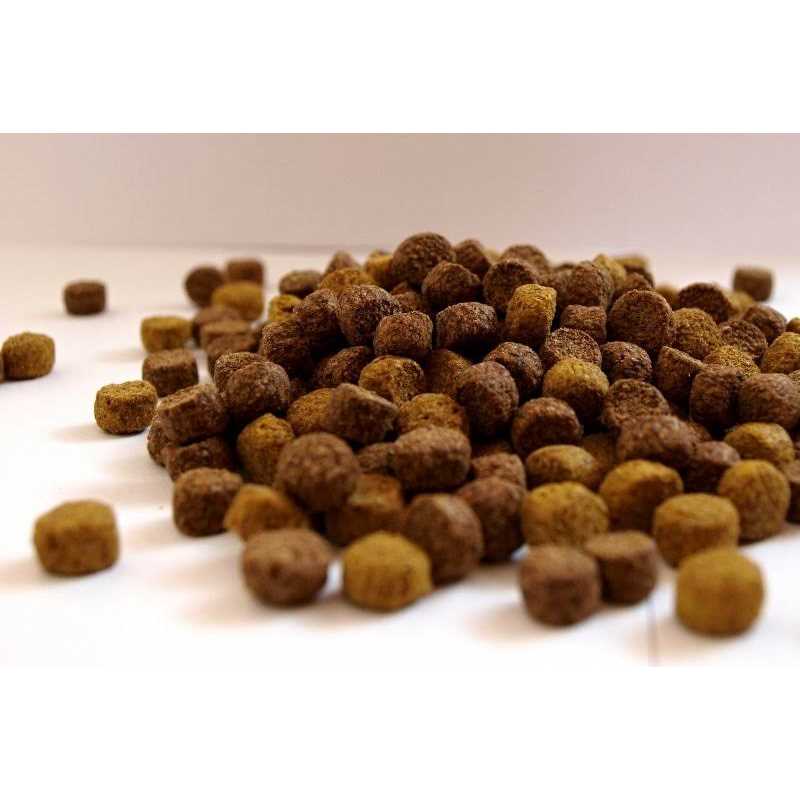 FirstMate Grain Free Chicken Meal with Blueberries Formula Dog Food - Pet Supplies online store