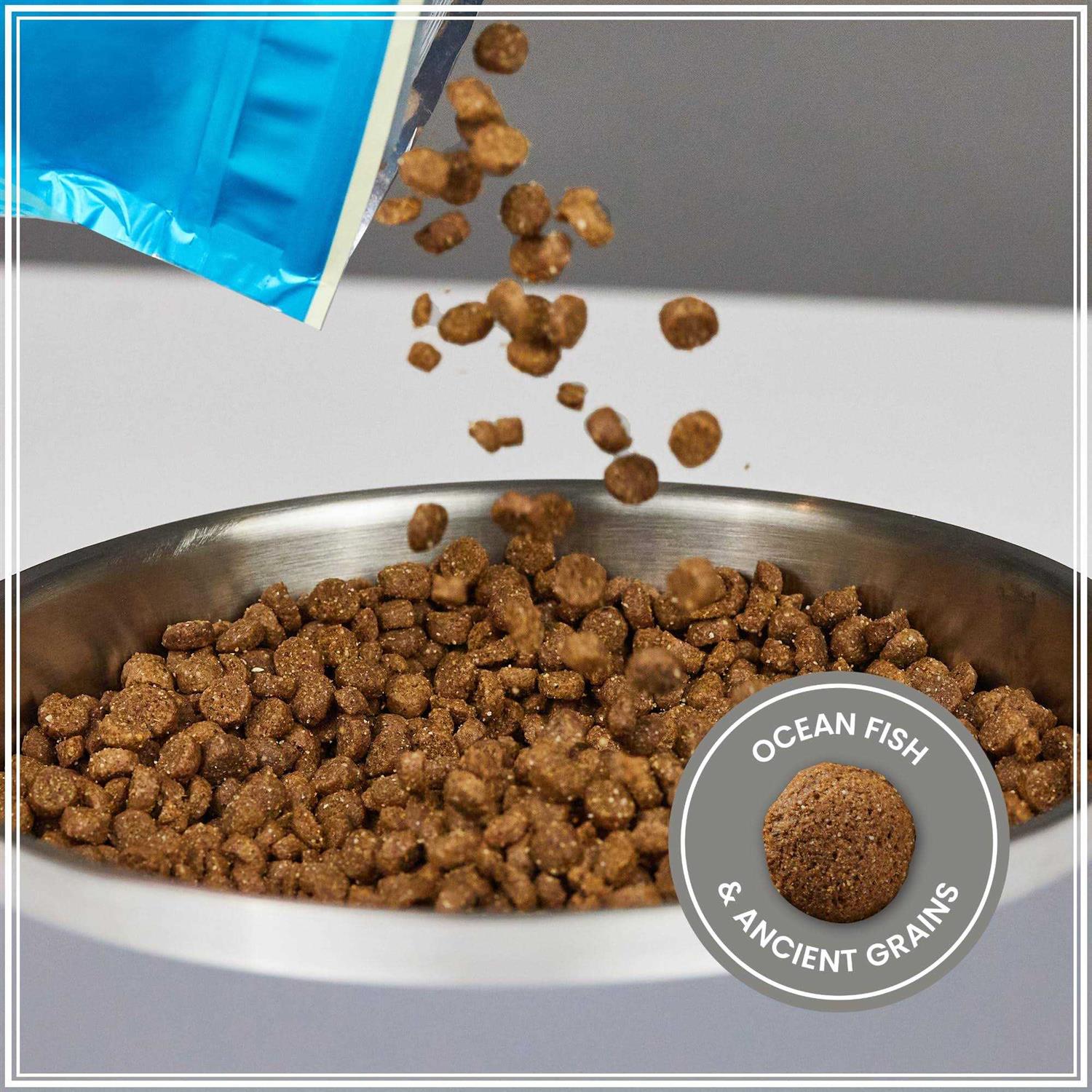 Muenster Ancient Grains with Ocean Fish Dog Food - Pet Supplies online store