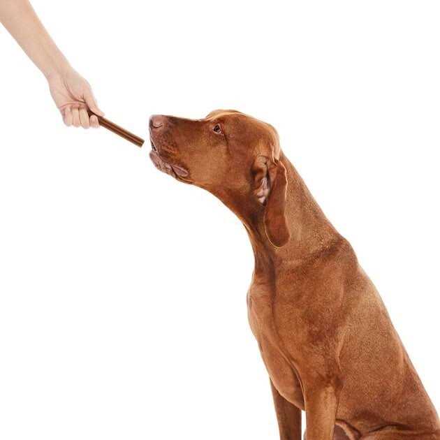 True Acre Foods All-Natural Dental Chew Sticks - Pet Supplies online store