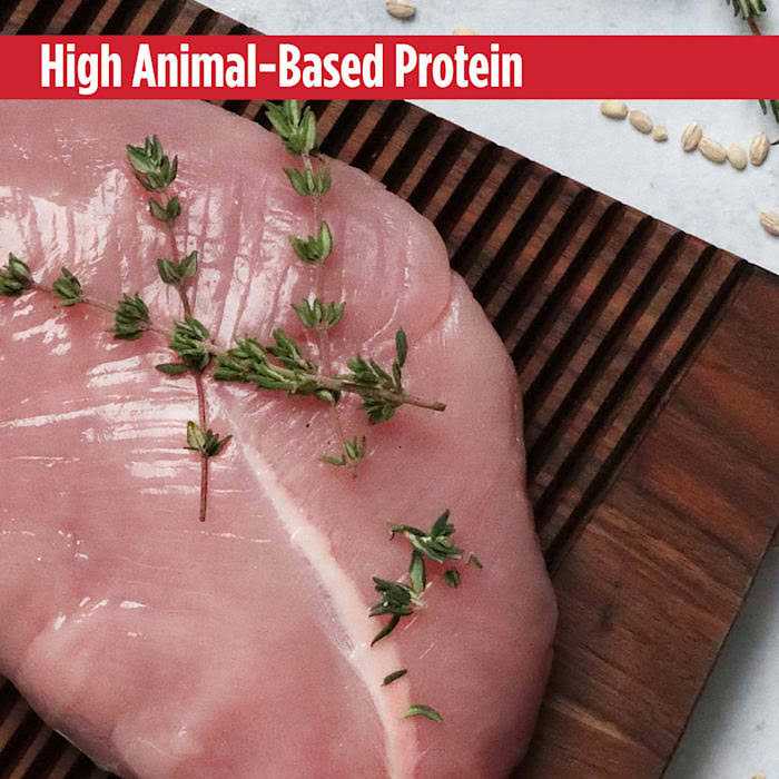 Nulo MedalSeries Large Breed Adult Dog Food Grain Free Turkey & Peas - Pet Supplies online store