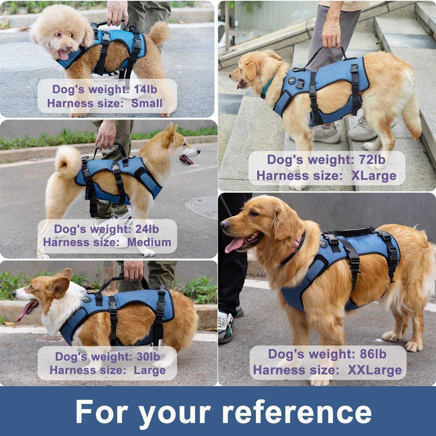 Coodeo Dog Lift Harness Support & Recovery Sling Pet Rehabilitation Lifts Vest Adjustable Breathable Straps for Old - Pet Supplies online store