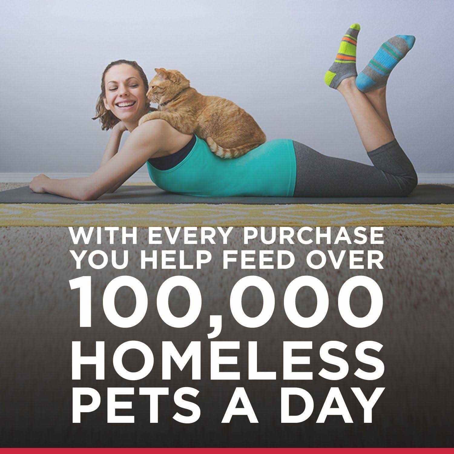 Hill's Science Diet Adult 7+ Savory Cat Food Chicken Entree - Pet Supplies online store