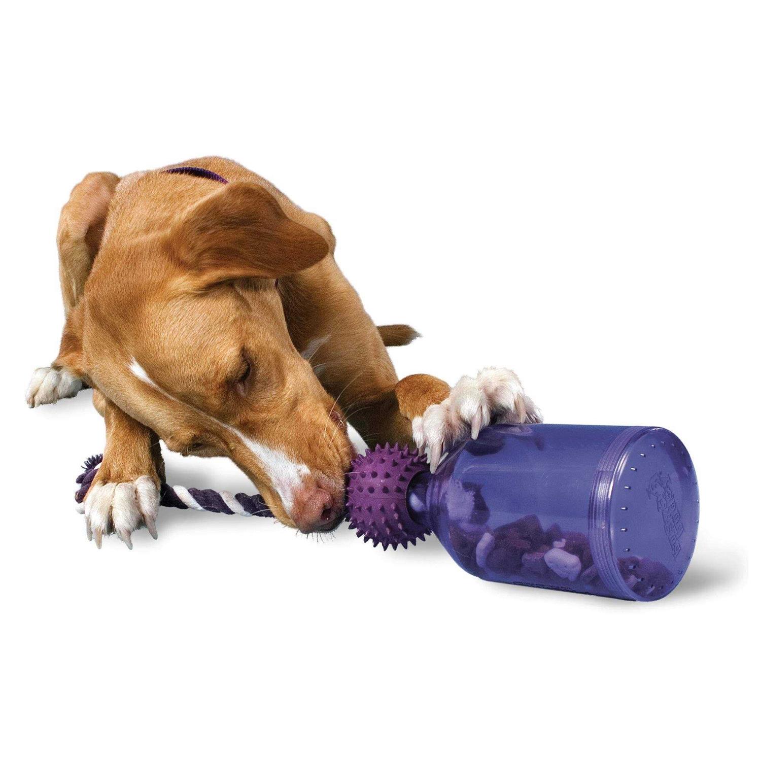 Busy Buddy Tug A Jug - Pet Supplies online store