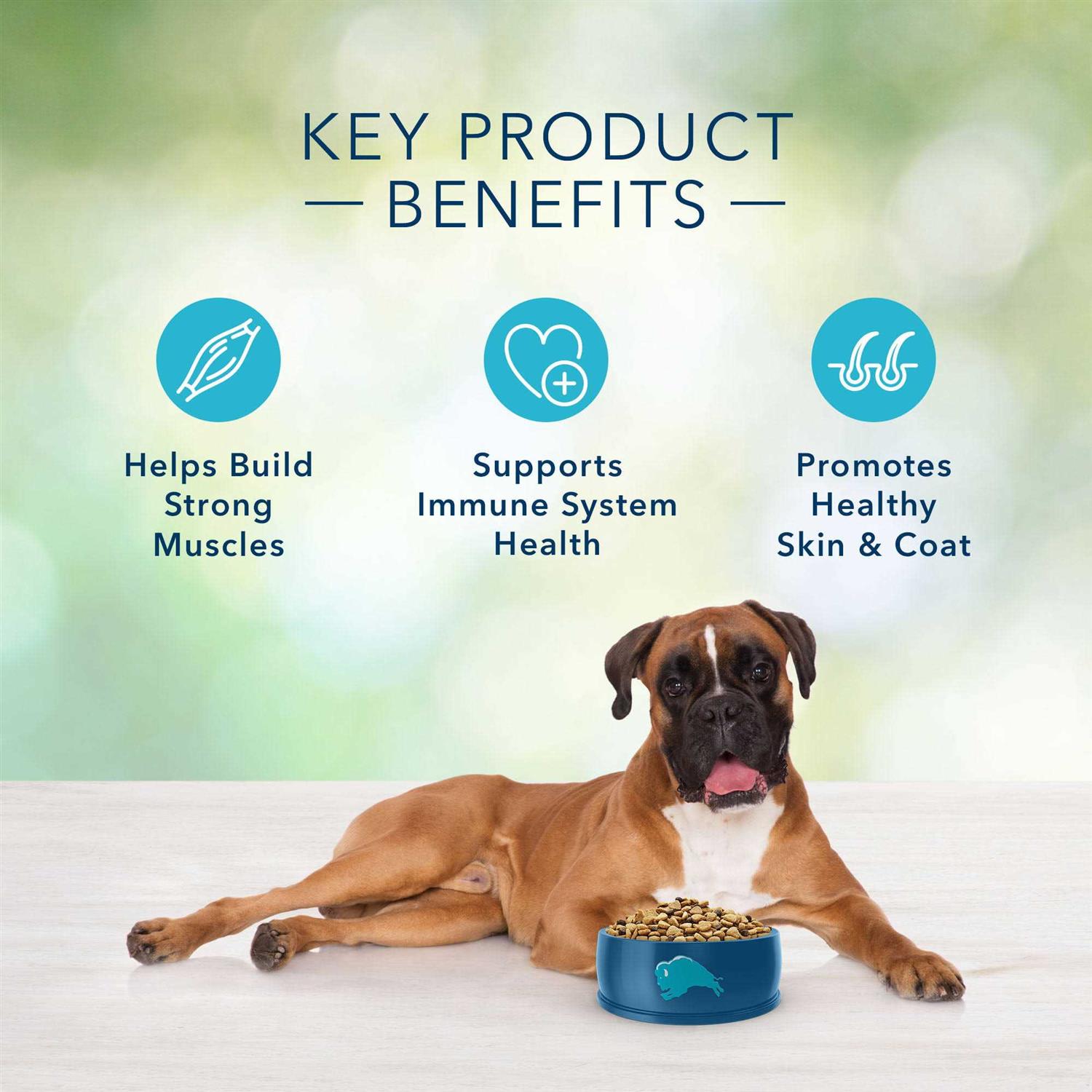 Blue Buffalo Freedom Adult Free Dog Food - Pet Supplies online store