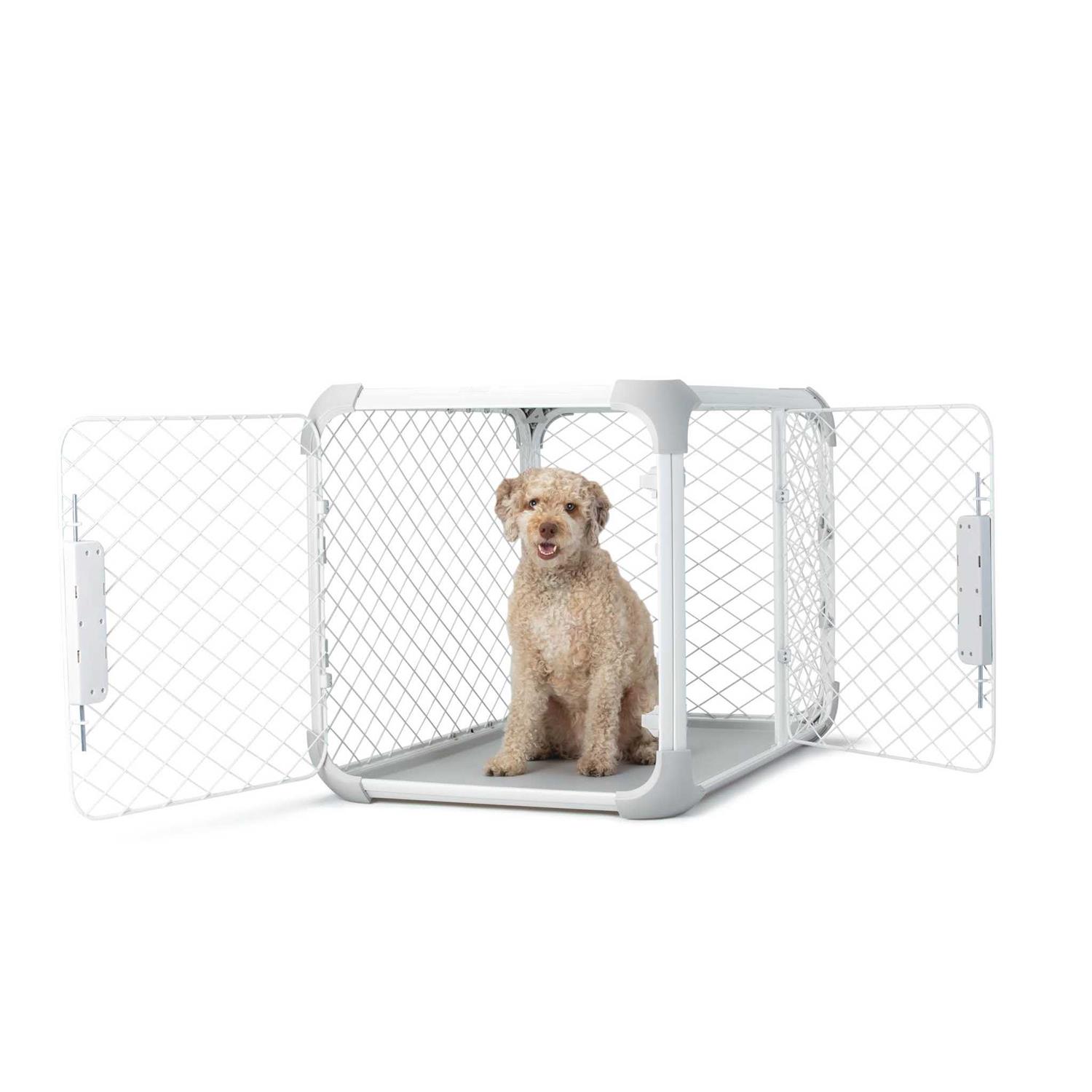 Diggs Evolv Dog Crate - Pet Supplies online store