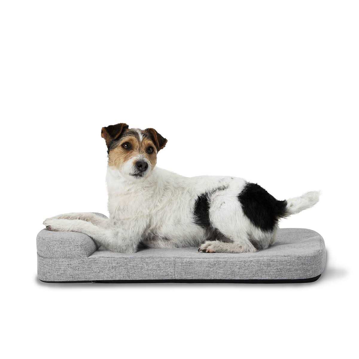 Diggs Bolstr Dog Bed - Pet Supplies online store