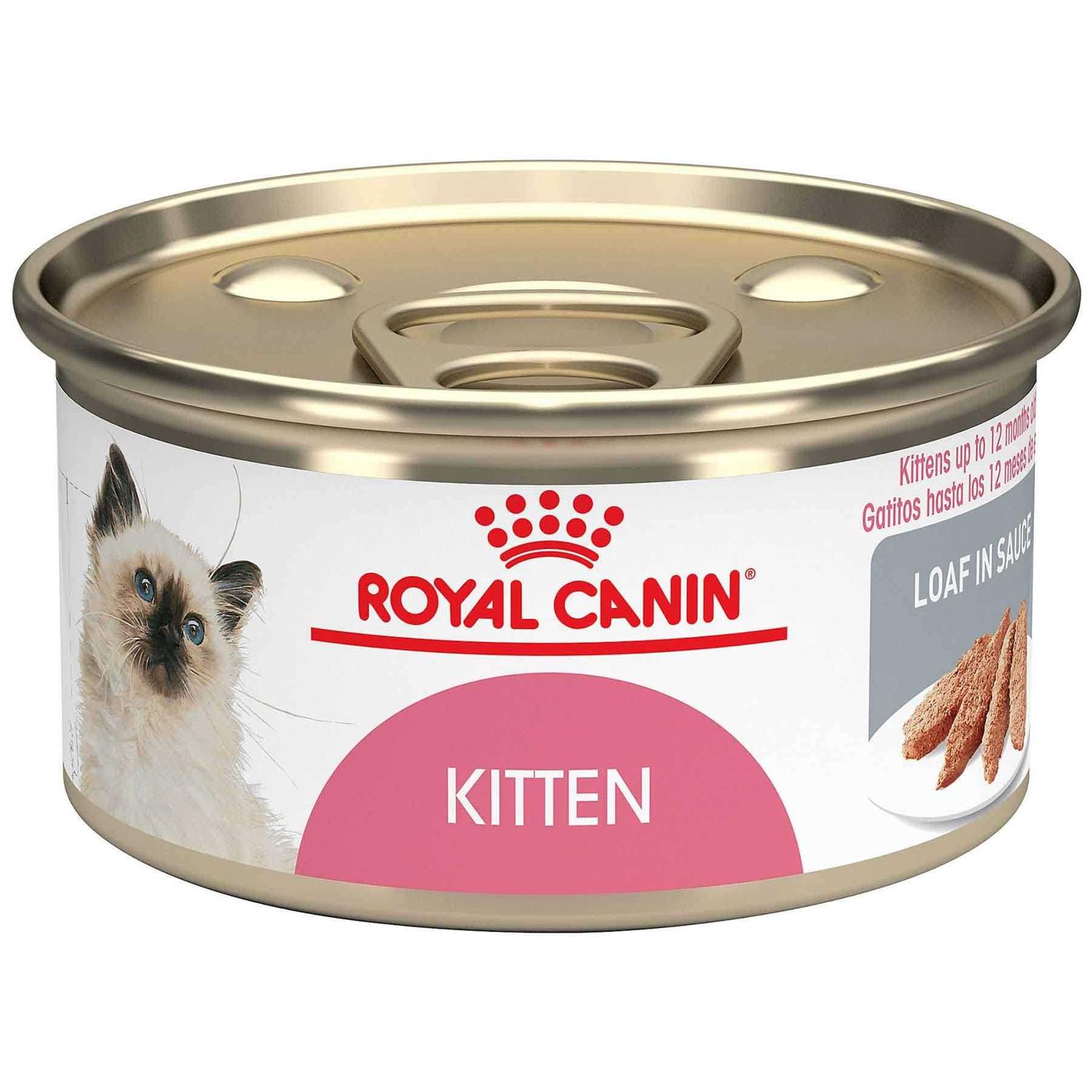 Royal Canin Kitten Loaf in Sauce Cat Food - Pet Supplies online store