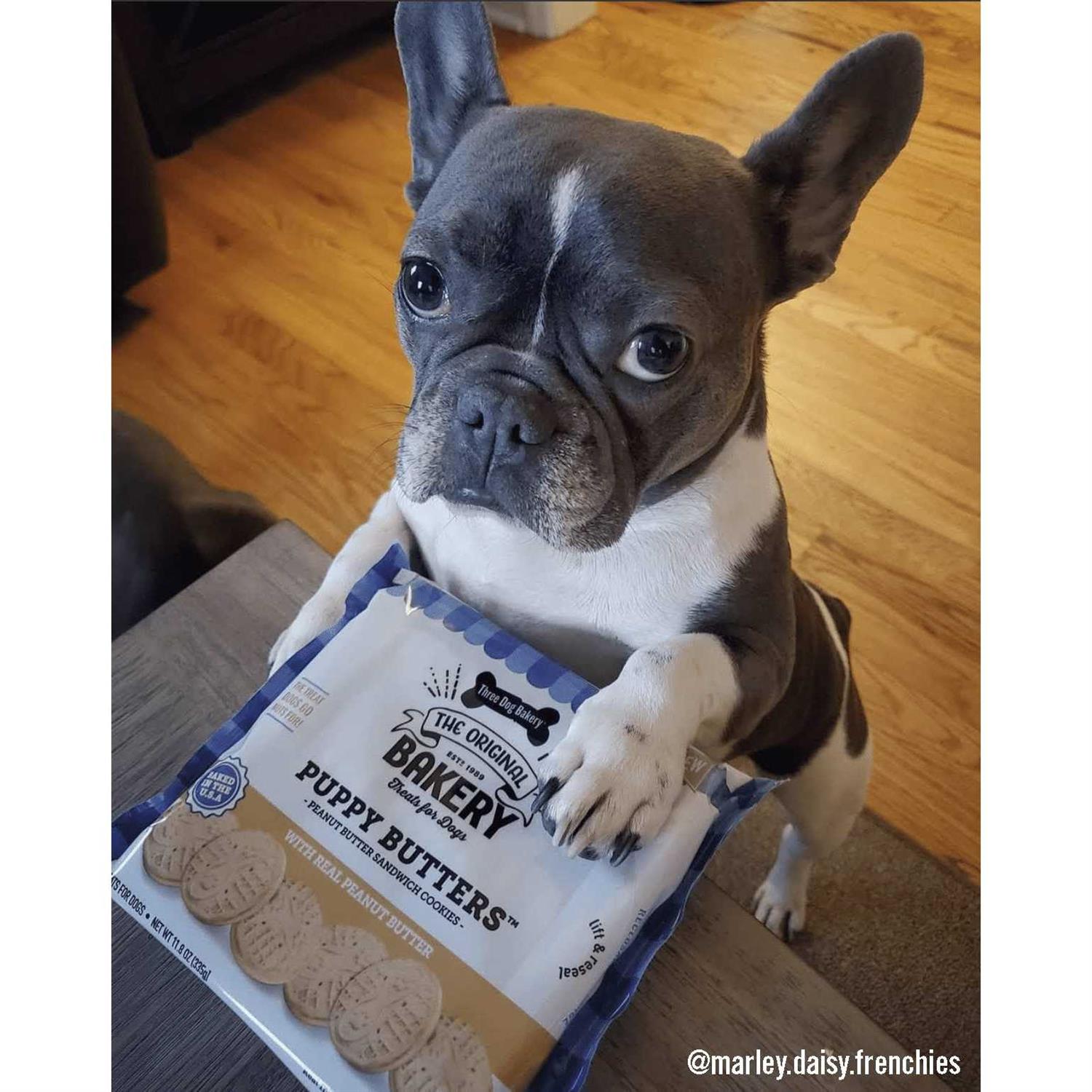 Three Dog Bakery Puppy Butters Peanut Butter Cookies Dogs Treats - Pet Supplies online store