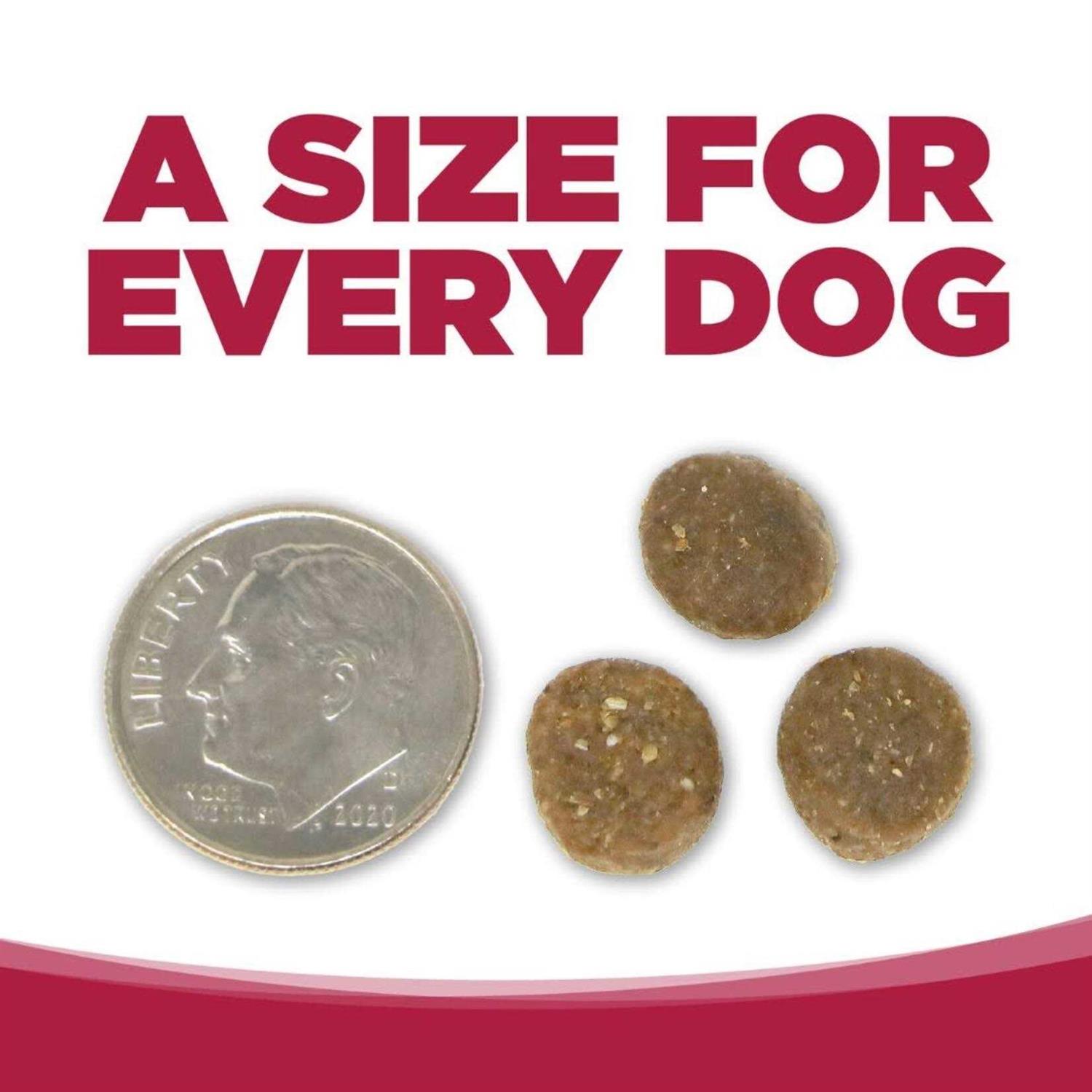 NutriSource Grain-Free Seafood Select Dry Dog Food - Pet Supplies online store