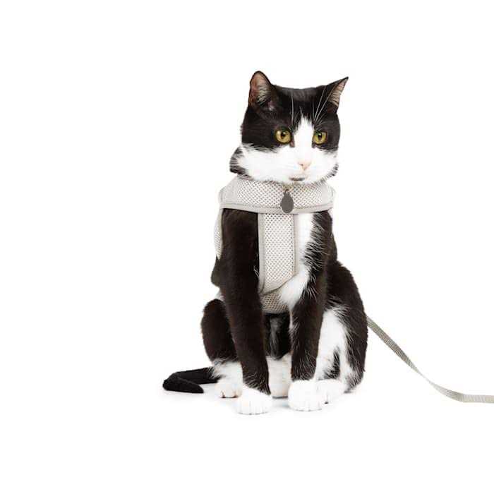 Youly Mesh Safety Gray Cat Harness - Pet Supplies online store