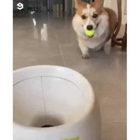 ENIGETA Rechargeable Tennis Ball Launcher for Dogs Elevating Playtime for You and Your Pup - Pet Supplies online store