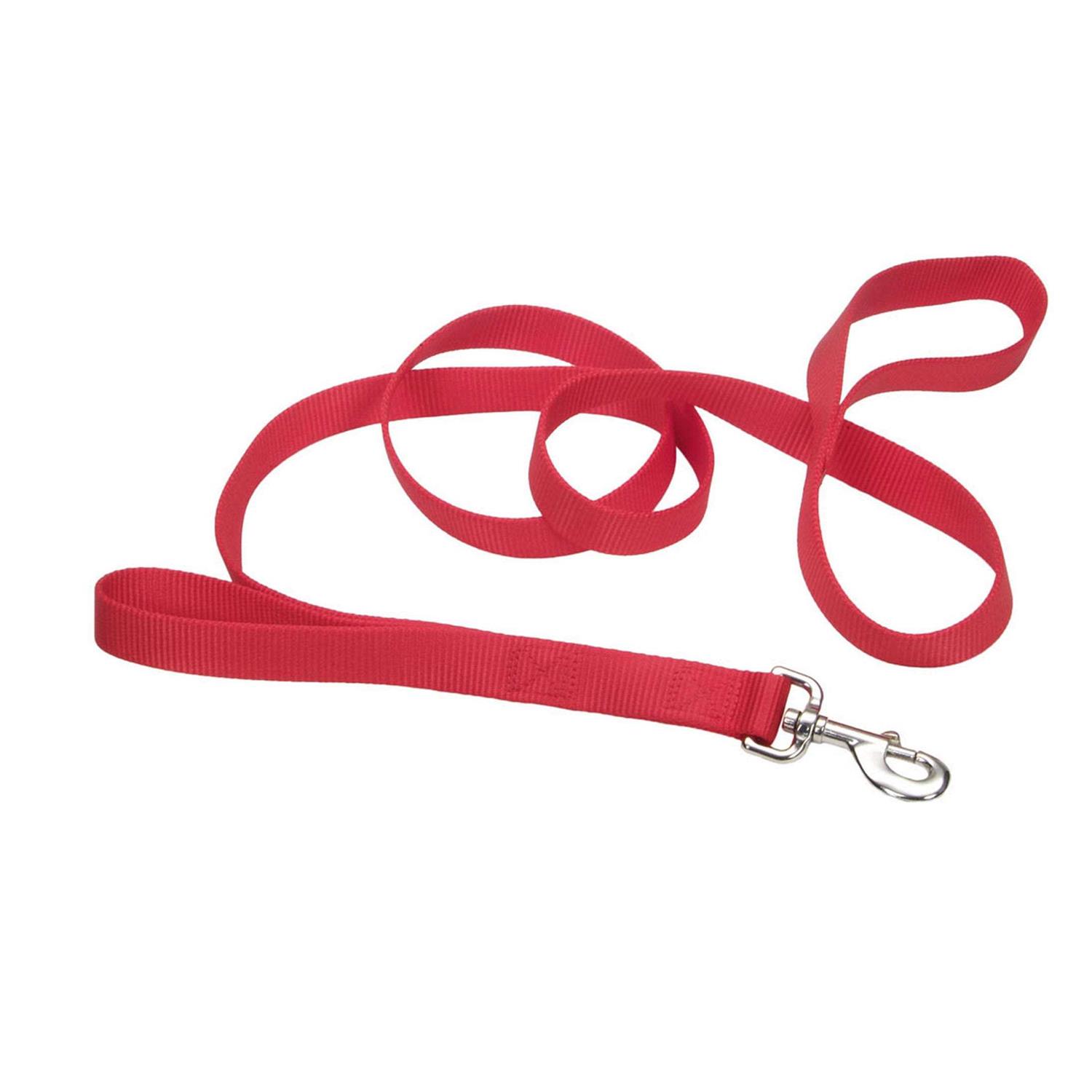 Coastal Double-Ply Nylon Traffic Leash - Pet Supplies online store
