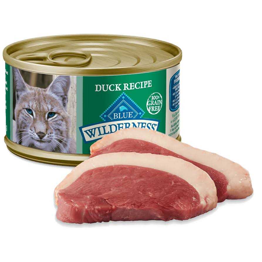 Blue Buffalo Wilderness Cat Food - Pet Supplies online store