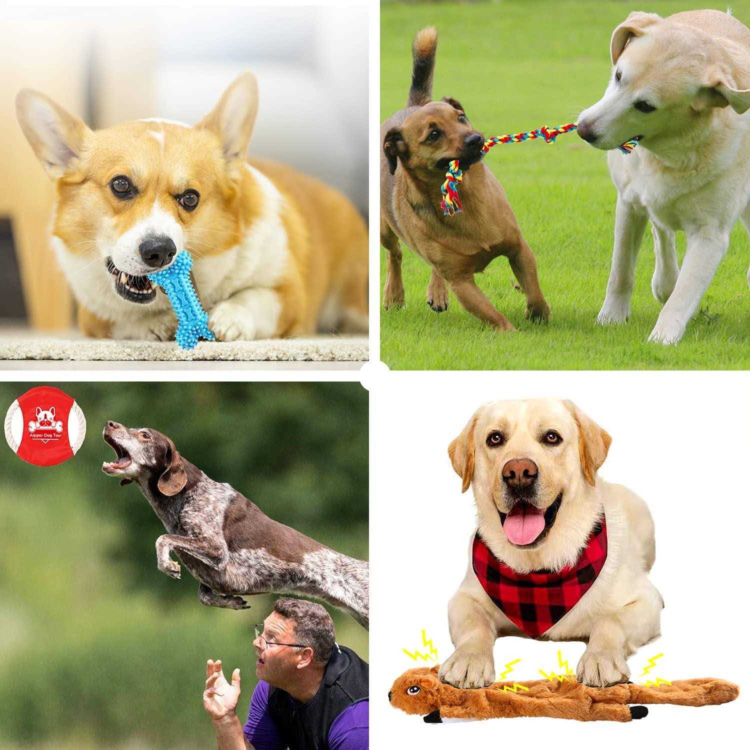 Aipper Dog Puppy Toys 20 Pack, Puppy Chew Toys for Fun and Teeth Cleaning - Pet Supplies online store