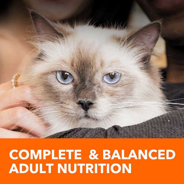 Iams Proactive Health Adult Sensitive Digestion & Skin Dry Cat Food - Pet Supplies online store