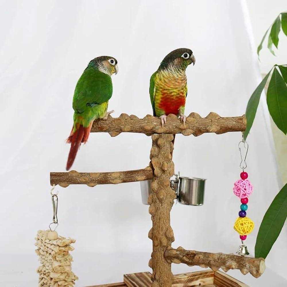 Bird Perch Platform Stand,Wood Perch Bird Platform Parrot Stand Playground Cage Accessories for Small Anminals Rat Hamster Gerbil Rat Mouse Lovebird - Pet Supplies online store