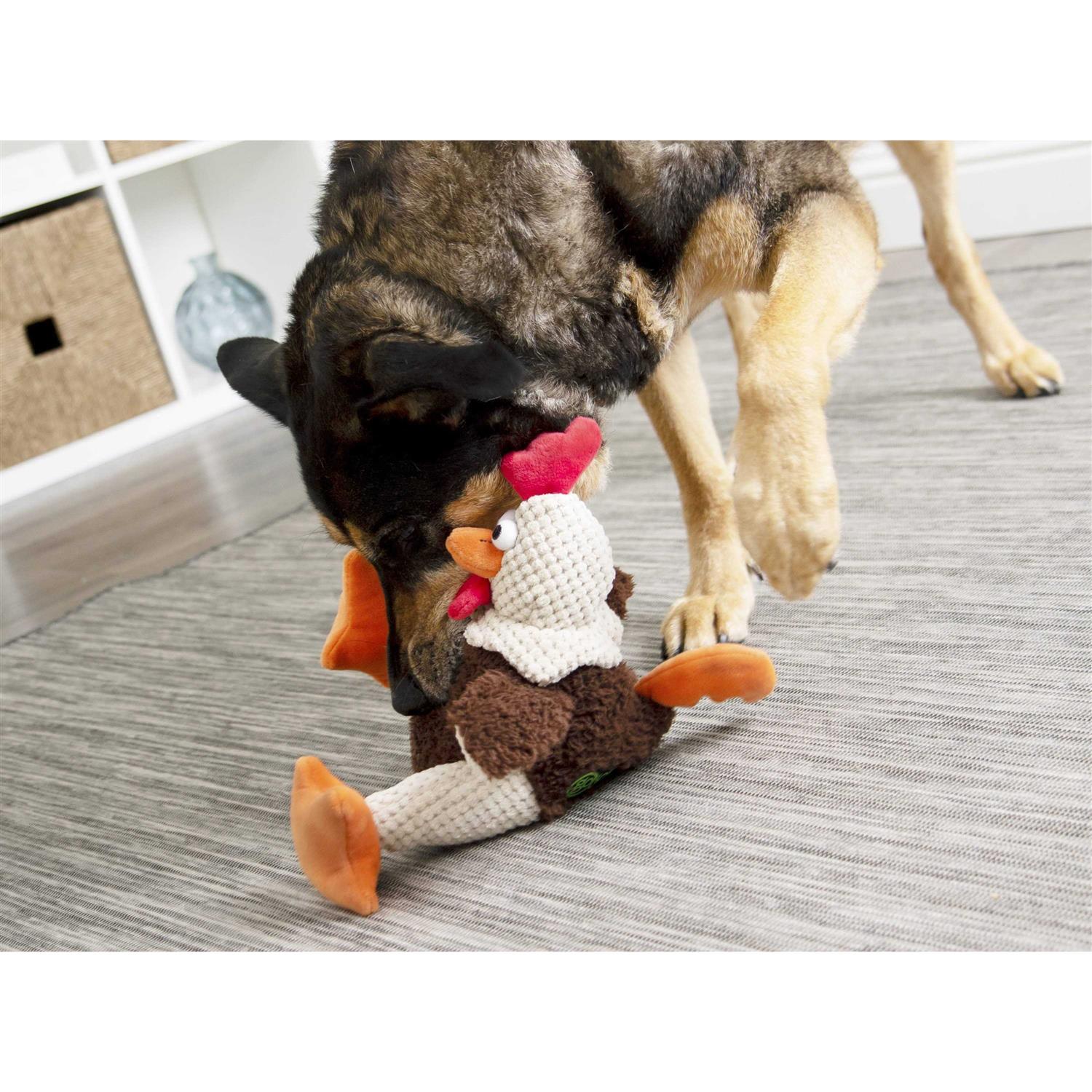 goDog Checkers Fat Rooster Dog Toy - Pet Supplies online store