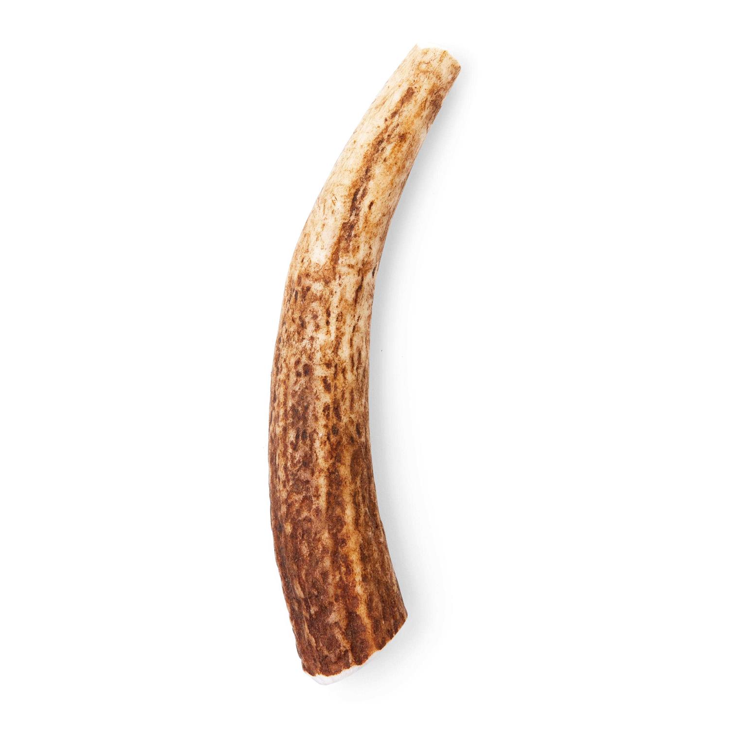 Good Lovin' Naturally Shed Large Whole Elk Antler Dog Chew - Pet Supplies online store