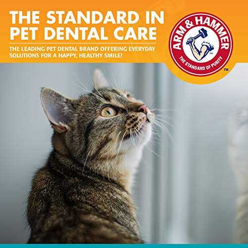 Arm & Hammer Fresh Breath Dental Kit for Cats - Pet Supplies online store