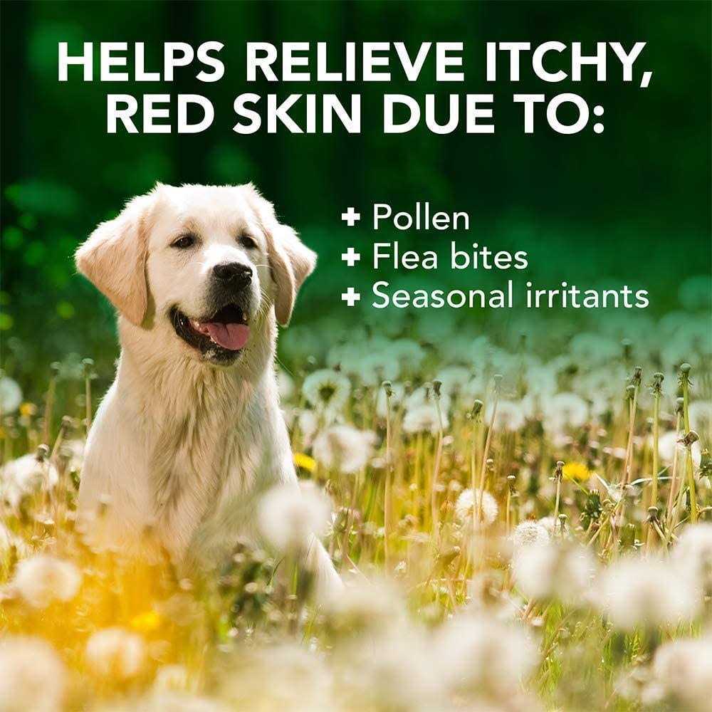 Vet's Best Allergy Itch Relief Shampoo - Pet Supplies online store