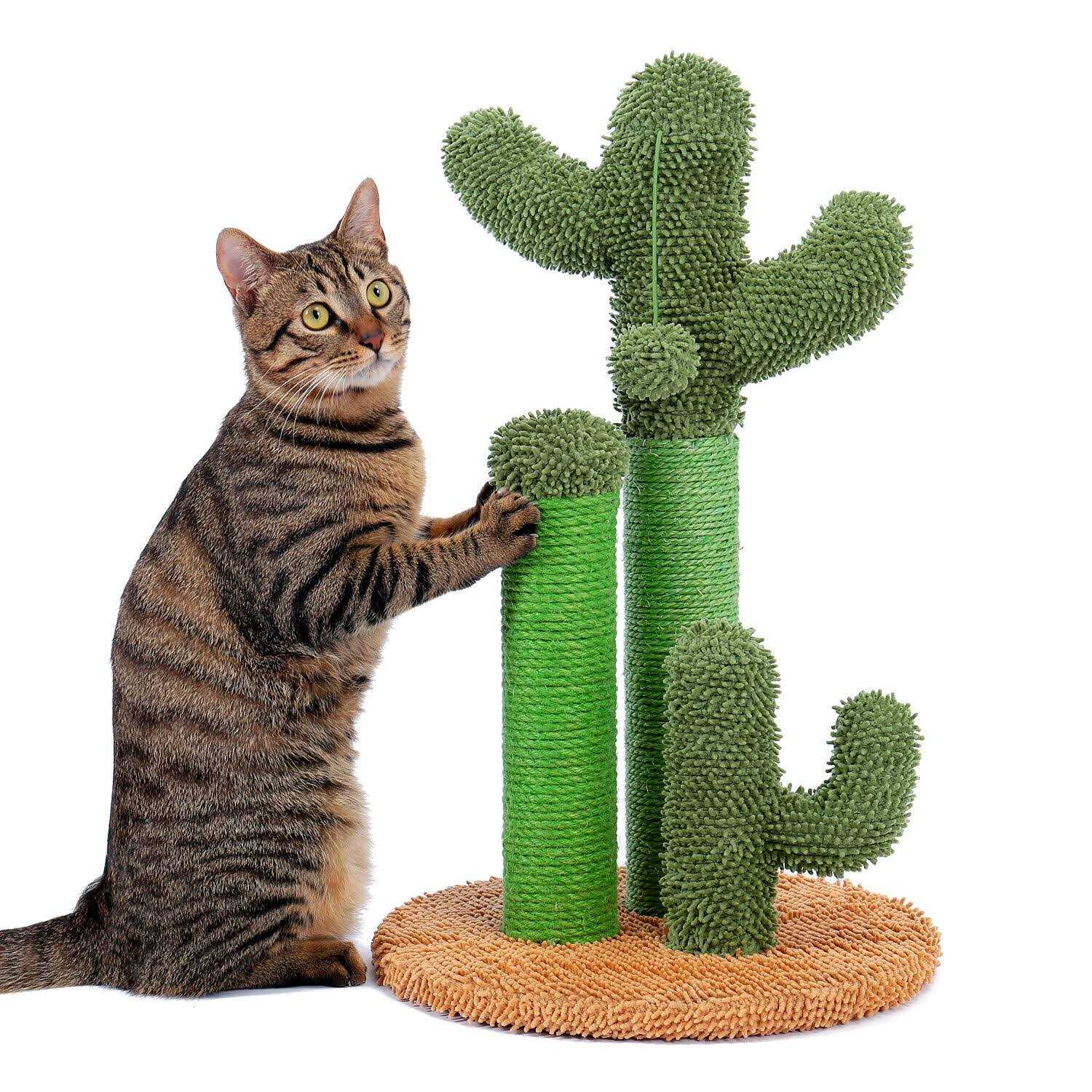 Pawz Road Cactus Cat Scratching Posts Sisal Cat Scratcher - Pet Supplies online store