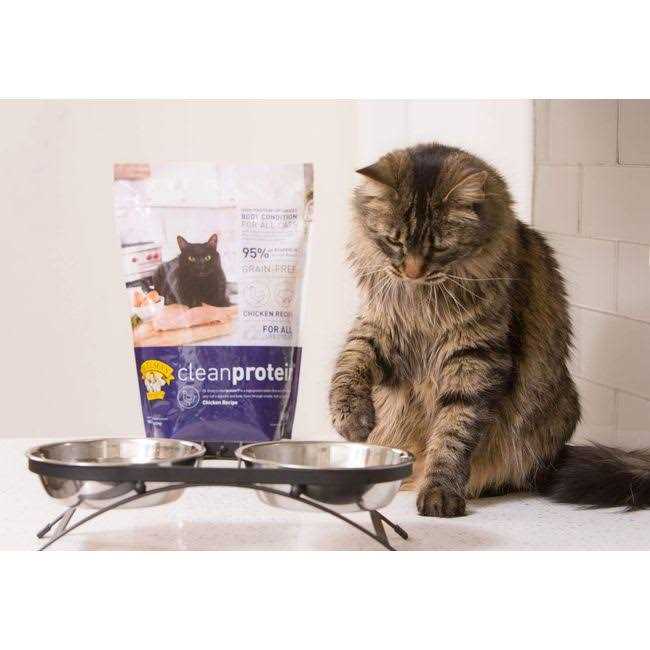Dr. Elsey&s cleanprotein Chicken Formula Dry Cat Food - Pet Supplies online store