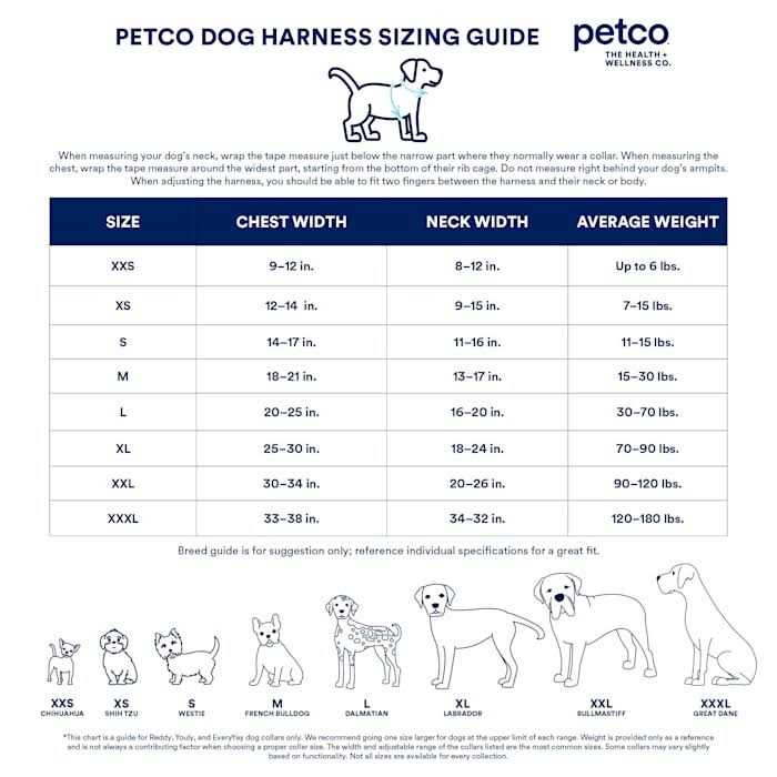 YOULY Mesh Dog Harness - Pet Supplies online store