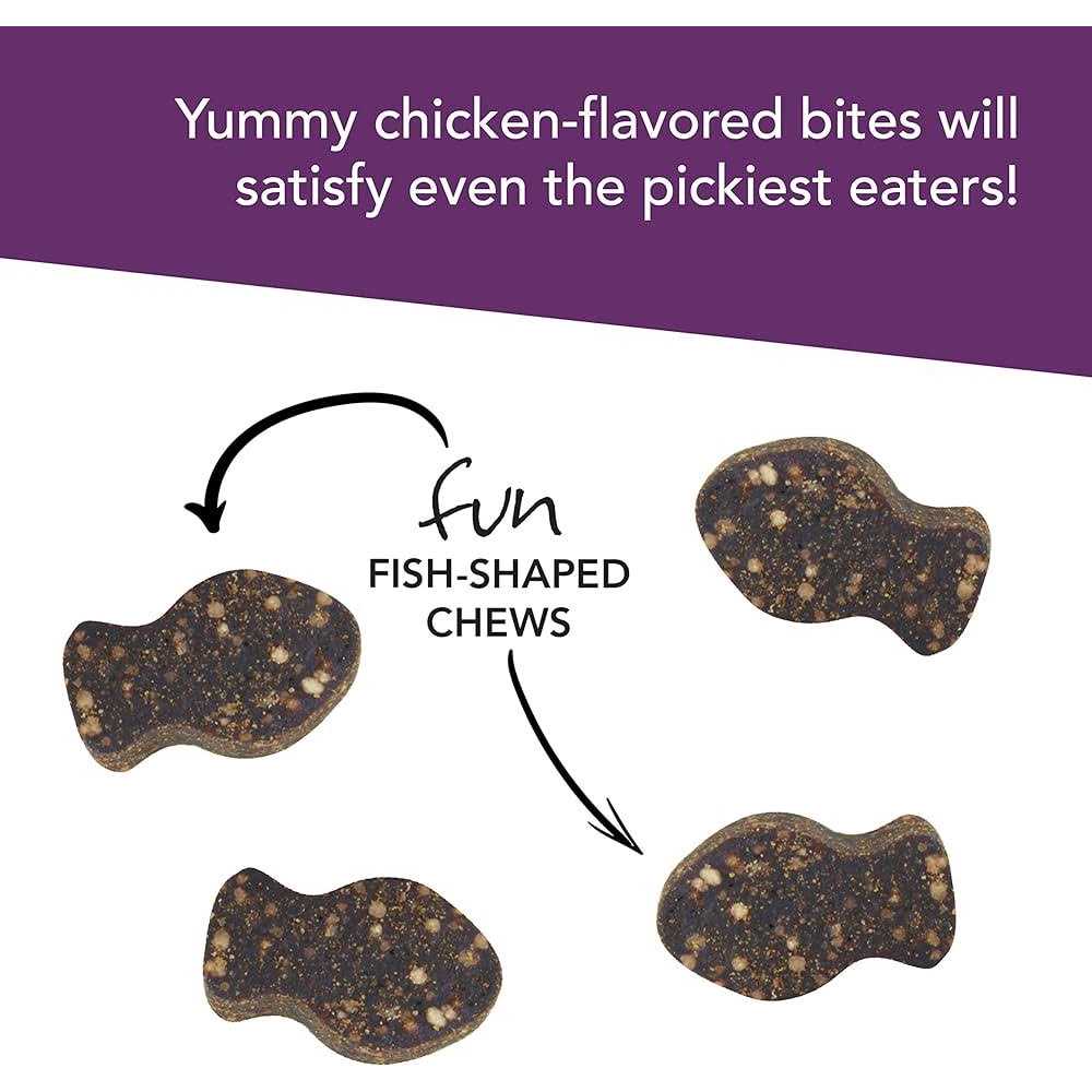 VetriScience Vetri Lysine Plus - Pet Supplies online store