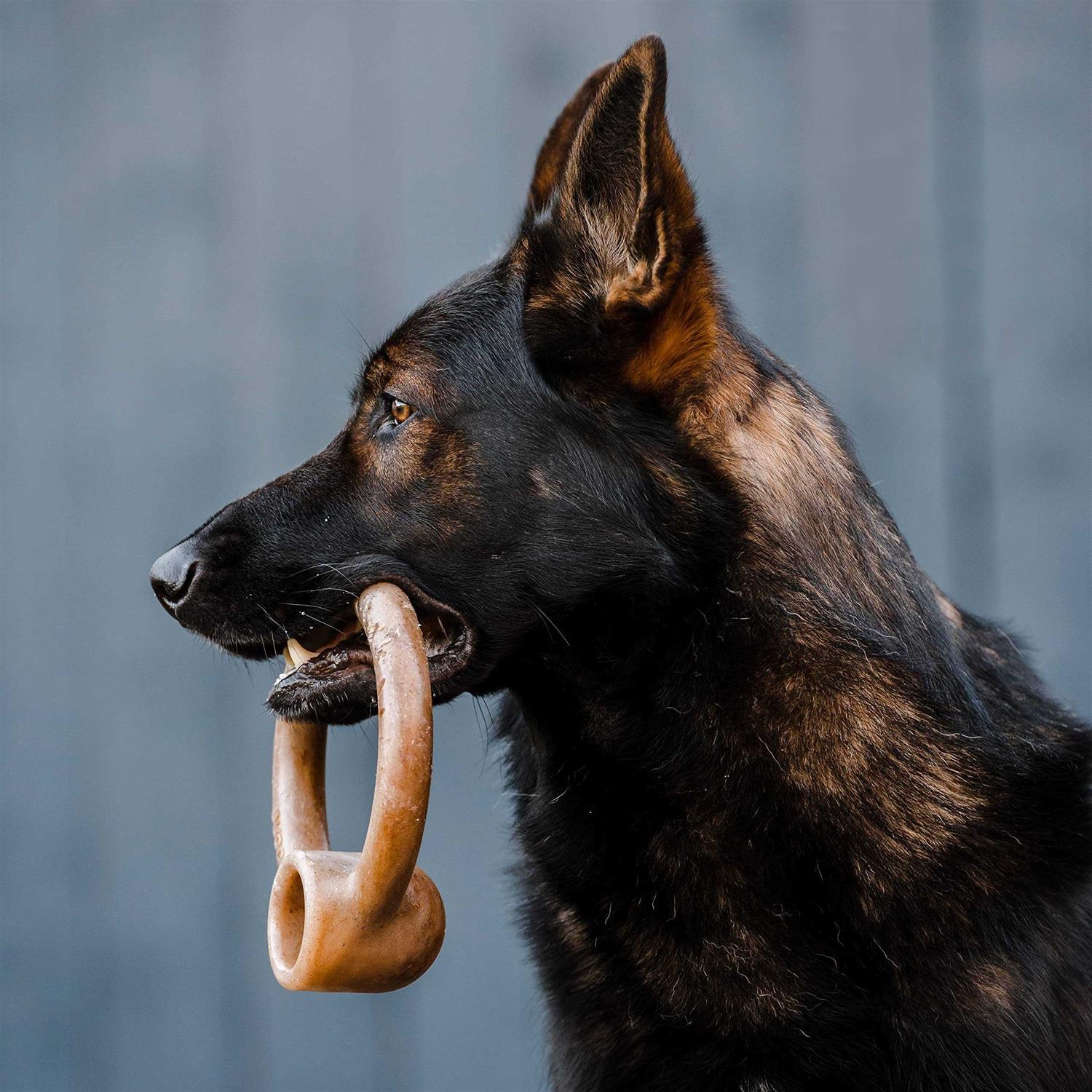 Lumabone Ring Stuffer Durable Chew Toy for Aggressive Chewers - Pet Supplies online store