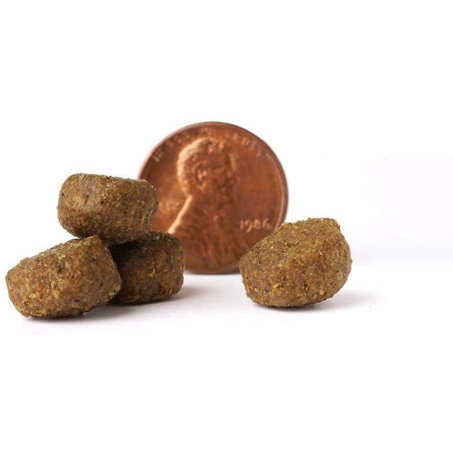 Victor Select Ocean Fish Formula Dry Dog Food - Pet Supplies online store