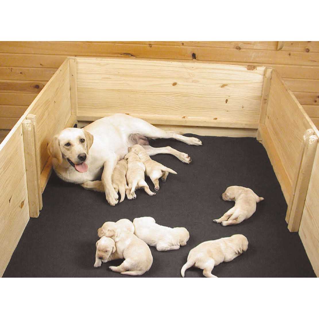 Drymate Whelping Box Liner Mat - Pet Supplies online store