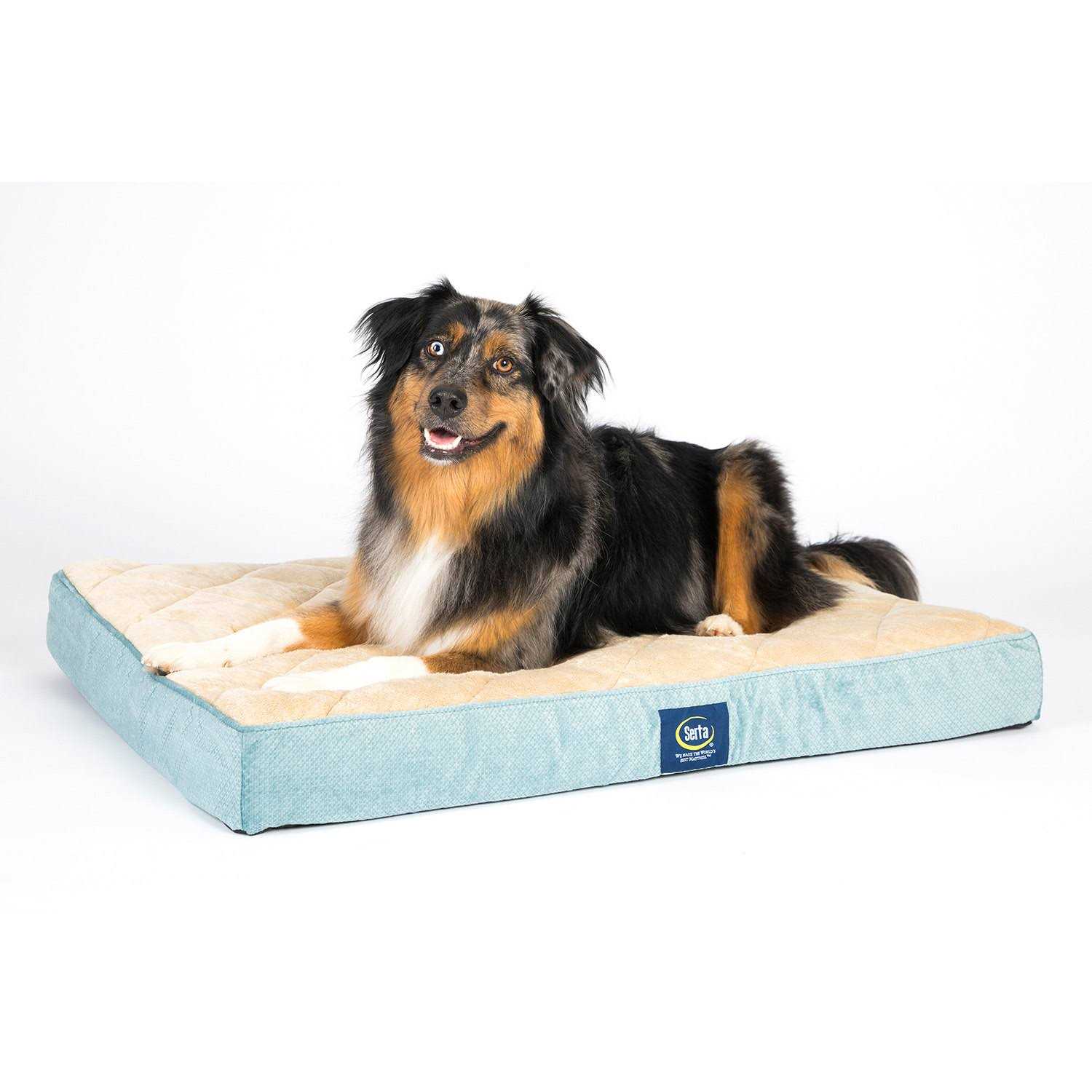 Serta Ortho Foam Quilted Pillowtop Pet Bed - Pet Supplies online store