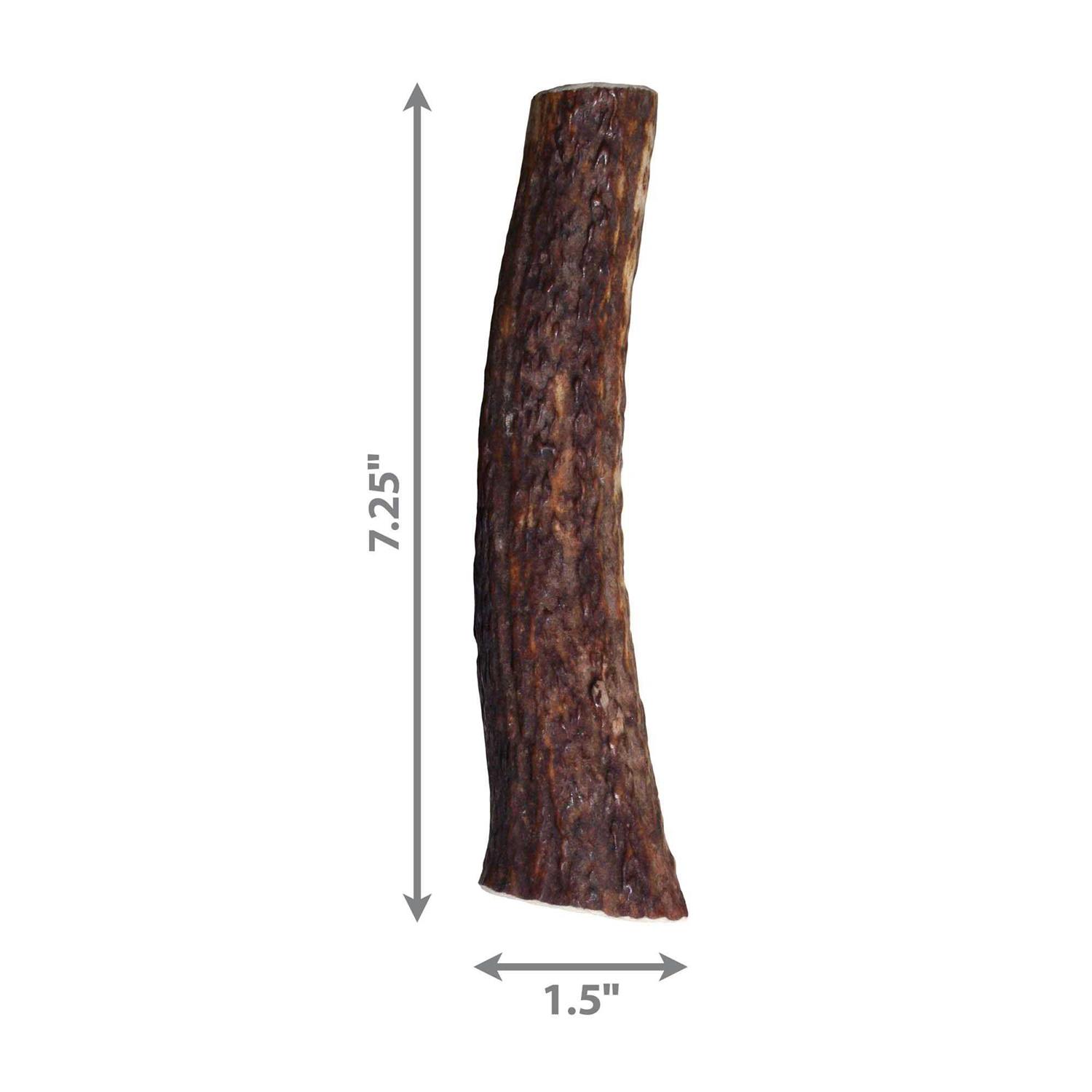 Kong Whole Wild Elk Antler - Pet Supplies online store