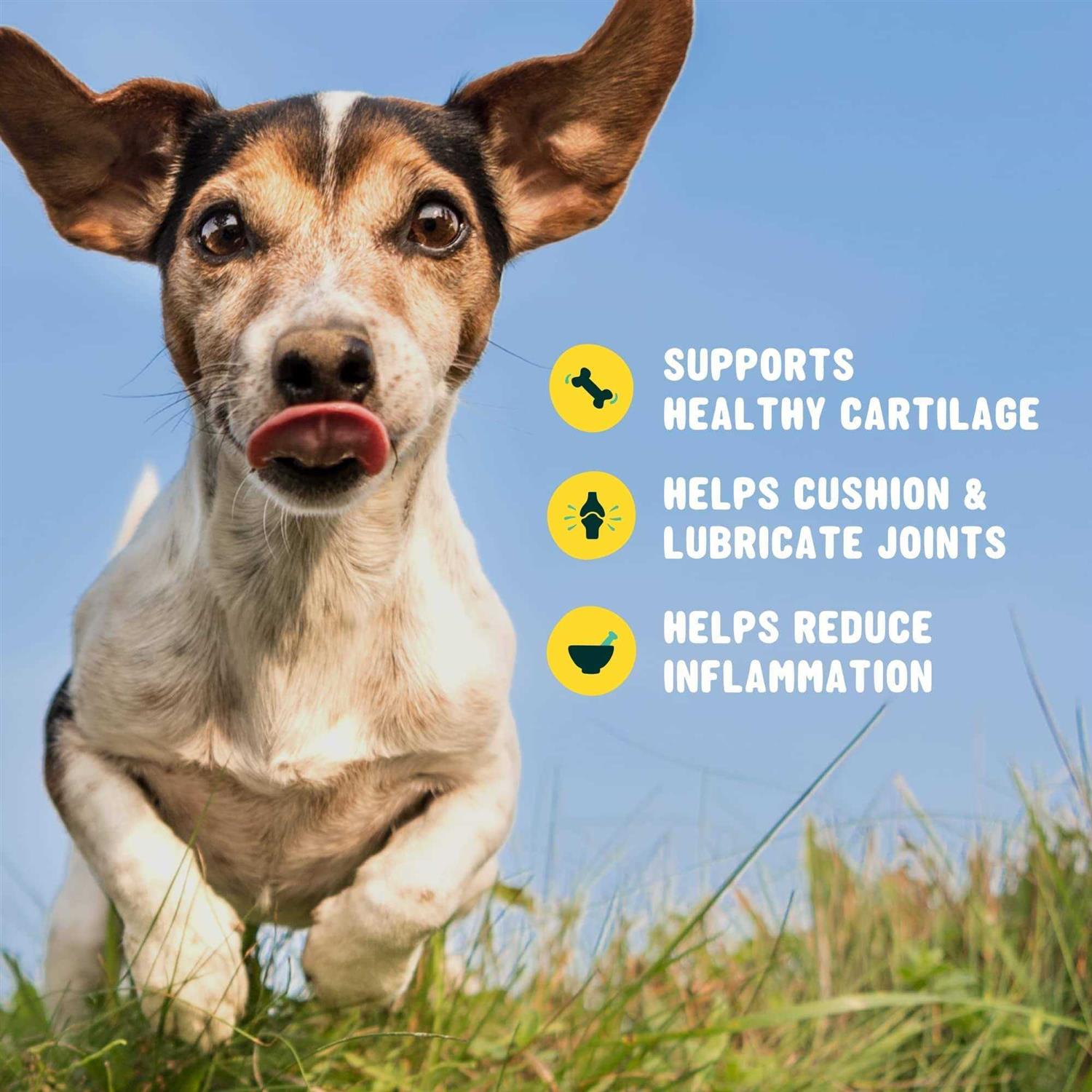 Active Chews Glucosamine for Dogs Hip and Joint Supplement with Chondroitin, Turmeric, and Msm - Pet Supplies online store