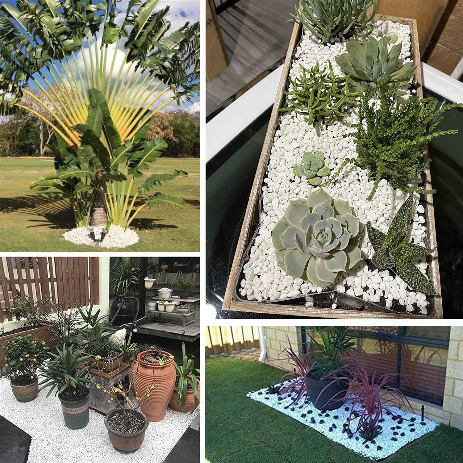 Anothera 18-lb Bulk Bag White Pebbles 1/2 Size Aquarium Gravel Outdoor Garden Paving Plant Decorative Stones - Pet Supplies online store